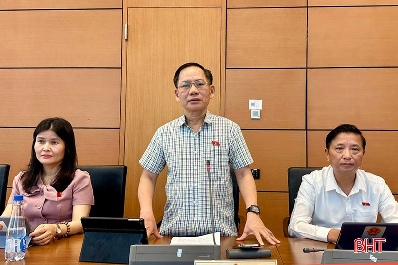 Phó Trưởng đoàn chuyên trách Đoàn ĐBQH tỉnh Trần Đình Gia tham gia thảo luận về các dự án luật. bqbht_br_2trandinhgiachieu17.jpg