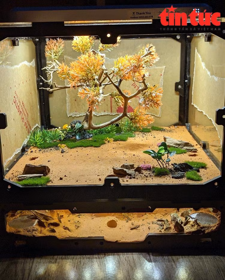 Tổ kiến gồm 2 tầng: Phần sân chơi và tổ nhân tạo phía dưới.