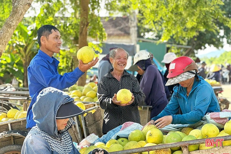 Từ sáng sớm, người dân đã bắt đầu đưa bưởi Phúc Trạch đến chợ bưởi để buôn bán. bqbht_br_kjaq-9791.jpg