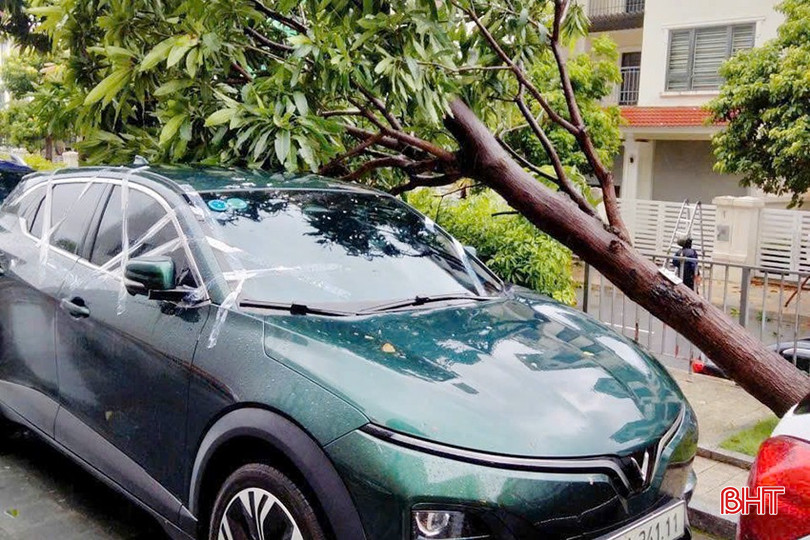 Cây đổ khu vực Trung tâm thương mại Vincom. bqbht_br_z6941929615355-588ff008c97e8074b2531d3998d6afcd.jpg