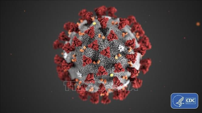 Hình ảnh do Trung tâm phòng ngừa và kiểm soát dịch bệnh Mỹ (CDC) cho thấy hình thái cấu tạo của virus corona chủng mới COVID-19 gây dịch viêm đường hô hấp cấp. Ảnh minh họa: THX/TTXVN Hình ảnh do Trung tâm phòng ngừa và kiểm soát dịch bệnh Mỹ (CDC) cho thấy hình thái cấu tạo của virus corona chủng mới COVID-19 gây dịch viêm đường hô hấp cấp. Ảnh minh họa: THX/TTXVN