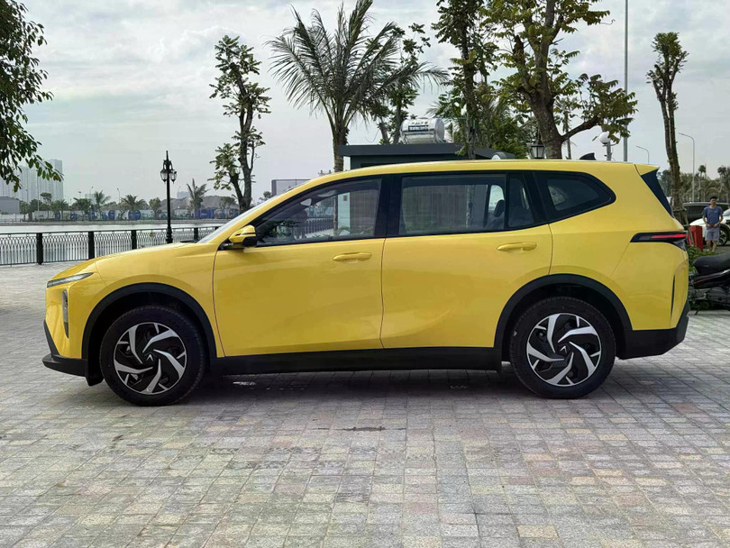 VinFast Limo Green là một trong những tân binh thành công nhất năm 2025. Ảnh: Sơn Phạm.