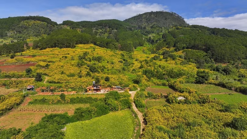 Những con đường quanh co uốn lượn giữa núi đồi, bên cạnh là màu xanh của thông và màu vàng của dã quỳ, tạo nên một khung cảnh thơ mộng, hùng vĩ.