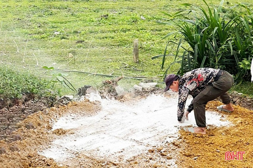 Cán bộ chuyên môn áp dụng các biện pháp xử lý hố chôn gia súc để không phát sinh nguy cơ lây lan dịch bệnh. bqbht_br_lpoouerdff.jpg