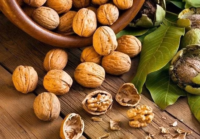 Quả óc chó có thể làm tăng lượng melatonin trong máu góp phần cải thiện chất lượng giấc ngủ.