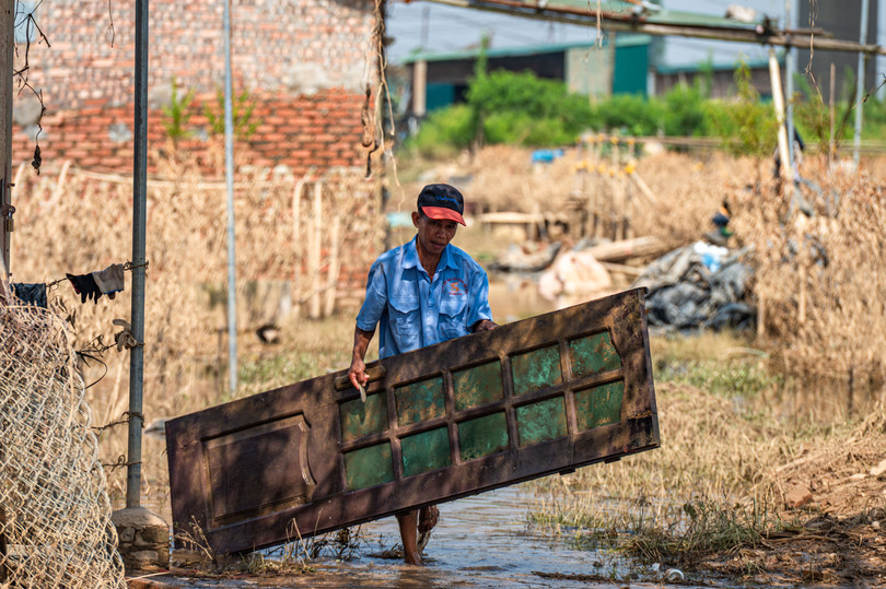 Một số hộ trồng đào tranh thủ dọn dẹp lều lán, trục vớt nông cụ sản xuất ngay sau khi nước lũ rút dần. Người dân tại đây cho biết các hộ nuôi trồng sẽ tiến hành tuốt lá cho đào để kịp ra hoa đúng dịp Tết Nguyên đán khoảng hơn một tháng nữa, nhưng nhiều gốc cây hiện đã chết không thể cứu chữa, các cây còn sót lại cũng không thể cho ra hoa đẹp.