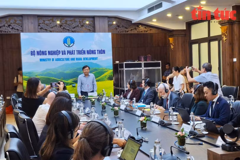 Thứ trưởng Bộ Nông nghiệp và Phát triển nông thôn Nguyễn Hoàng Hiệp thông tin về ảnh hưởng của cơn bão số 3.