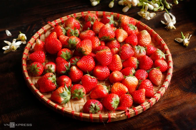 Các loại quả mọng, như dâu tây, việt quất và mâm xôi, là nguồn dinh dưỡng dồi dào, bảo vệ cơ thể chống ung thư. Ảnh: Bùi Thủy