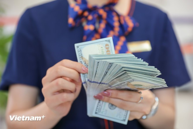 Thống đốc cho biết Ngân hàng Nhà nước sẽ theo dõi sát diễn biến tỷ giá, thậm chí là diễn biến hàng ngày để có sự chủ động trong điều tiết. (Ảnh: Vietnam+) Thống đốc cho biết Ngân hàng Nhà nước sẽ theo dõi sát diễn biến tỷ giá, thậm chí là diễn biến hàng ngày để có sự chủ động trong điều tiết. (Ảnh: Vietnam+)