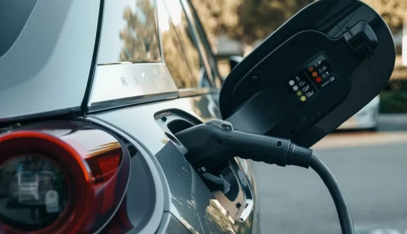 Tránh nhiệt độ khắc nghiệt