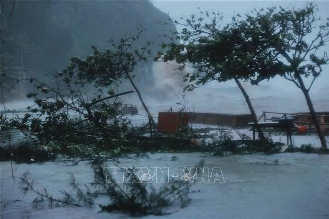 Bão Yagi gây ra thiệt hại kinh hoàng cho nhiều tỉnh miền Bắc. Ảnh: TTXVN