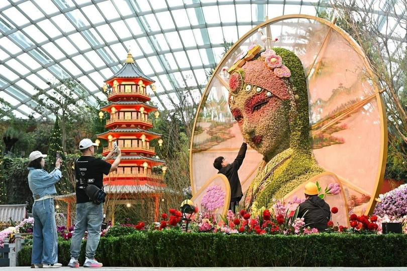 Du khách đến thăm triển lãm hoa mùa xuân được tổ chức tại Flower Dome ở Gardens by the Bay, Singapore. Chương trình diễn ra từ ngày 17/1 đến ngày 23/2 để kỷ niệm Tết Nguyên đán. Nổi bật giữa khung cảnh hoa nở rộ là tác phẩm hoa cao 4,5 m. Ảnh: Straits Times.