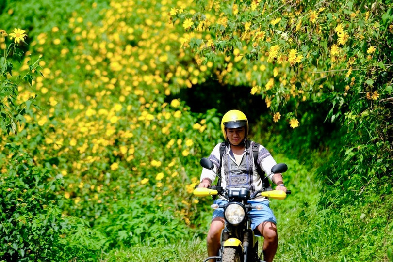 Đến Lâm Đồng vào mùa hoa dã quỳ, du khách không chỉ được chiêm ngưỡng sắc vàng tươi của hoa mà còn có thể tận hưởng khí hậu se lạnh của vùng cao nguyên.