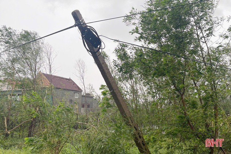n2.jpg