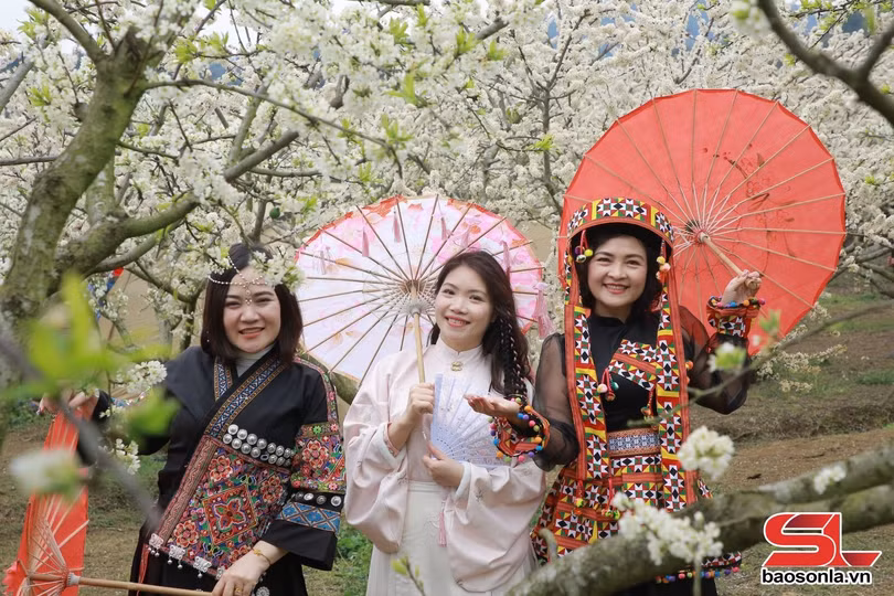 Du khách thuê những bộ trang phục rực rỡ chụp ảnh bên vườn mận.