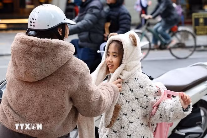 Đề phòng rét đậm. (Ảnh: Vũ Quang/TTXVN)