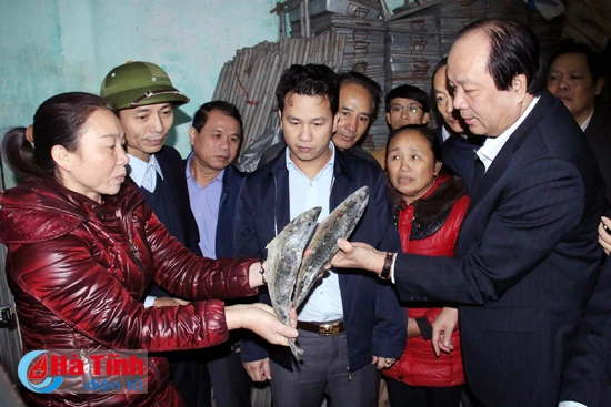 ha tinh tieu huy gan 300 tan ca khong dam bao an toan dung quy trinh ky thuat