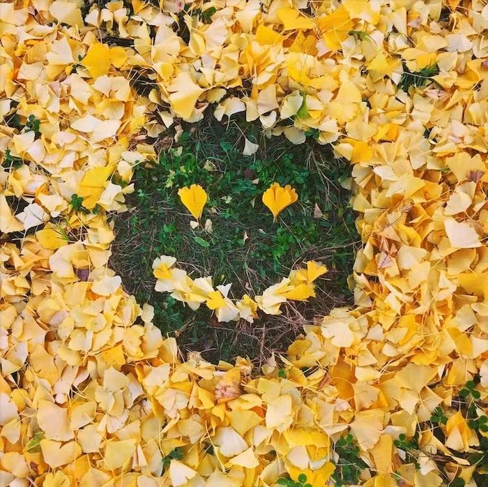 doc dao nhung tac pham nghe thuat lam tu la kho cua nguoi nhat