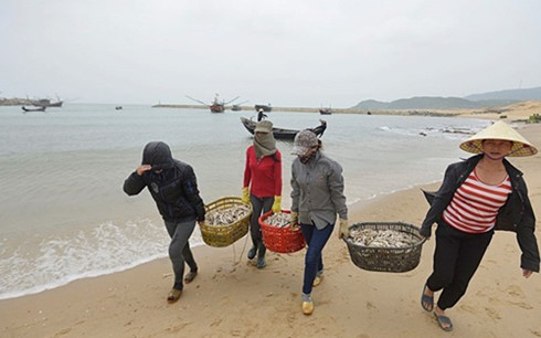 bo tn mt yeu cau tiep tuc quan trac nuoc bien 4 tinh mien trung