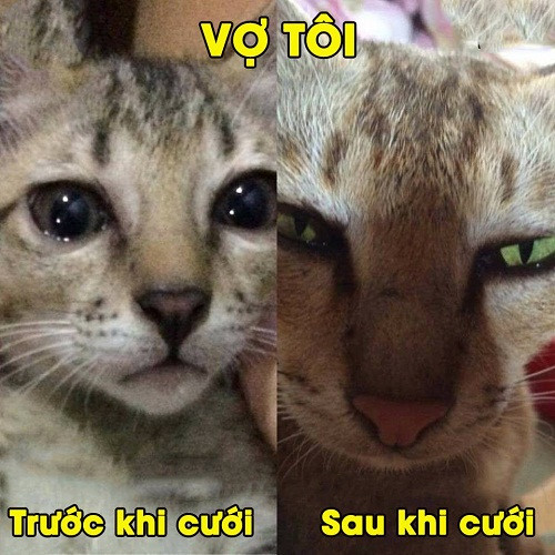 10 anh hai hot nhat facebook trong ngay