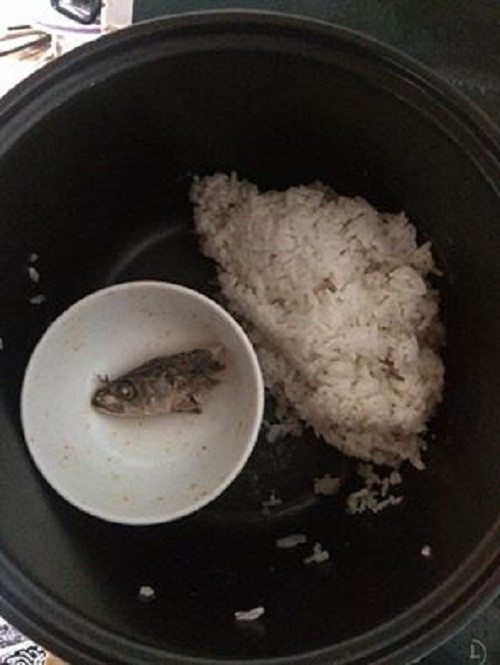 10 anh hai hot nhat facebook trong ngay