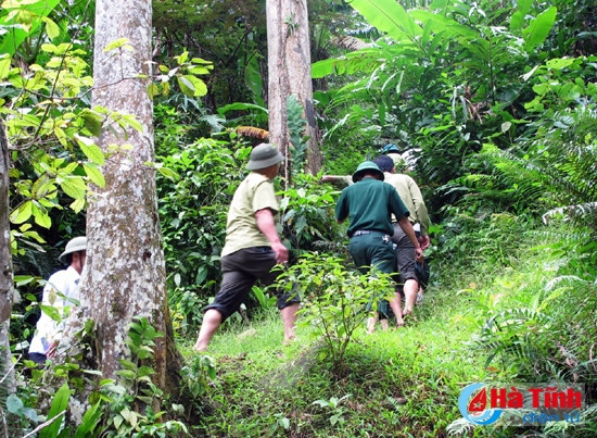 de moi canh rung moi qua doi co chu dich thuc