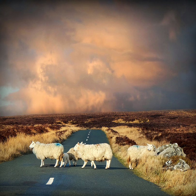 ngam ireland dep an tuong qua bo anh duoc thuc hien trong 10 nam