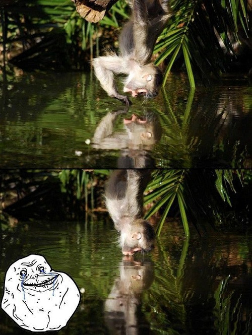 10 anh hai hot nhat facebook trong ngay