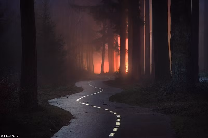 nhung buc anh dep nhat 2016 chia se tren flickr