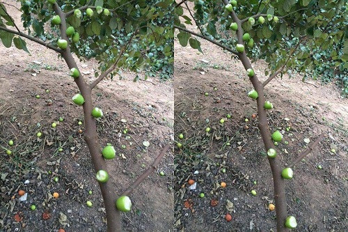 10 anh hai hot nhat facebook trong ngay