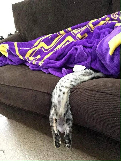 10 anh hai hot nhat facebook trong ngay