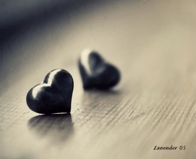 anh se la xua cu neu mot ngay em du quen di