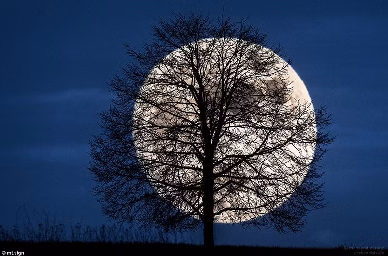 nhung buc anh dep nhat 2016 chia se tren flickr