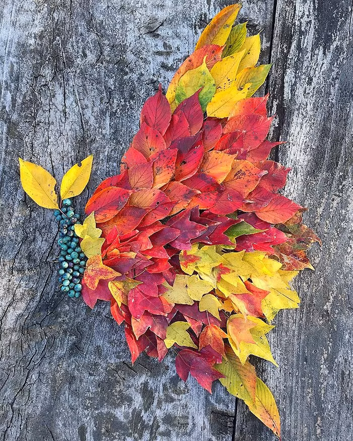 doc dao nhung tac pham nghe thuat lam tu la kho cua nguoi nhat