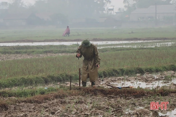 “Đội mưa” phá bờ thửa nhỏ làm cánh đồng mẫu lớn ở phố biển Thiên Cầm