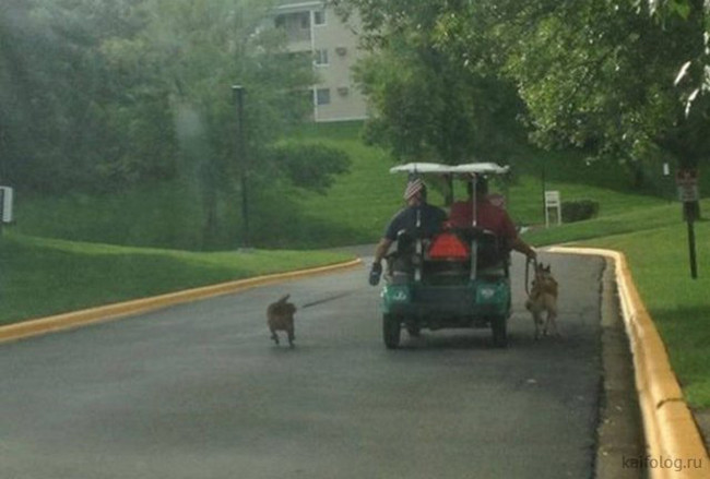 Phải “khiếp vía” với những kẻ lười biếng nhất hệ mặt trời