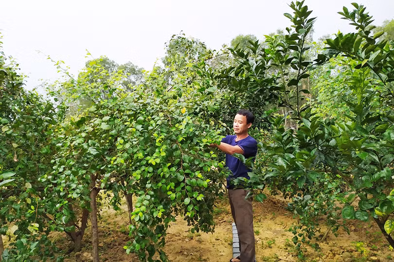 Việt Tiến hướng tới mục tiêu xây dựng xã nông thôn mới kiểu mẫu