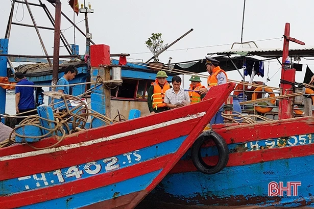 Hà Tĩnh phấn đấu khai thác 16.400 tấn hải sản vụ cá Bắc