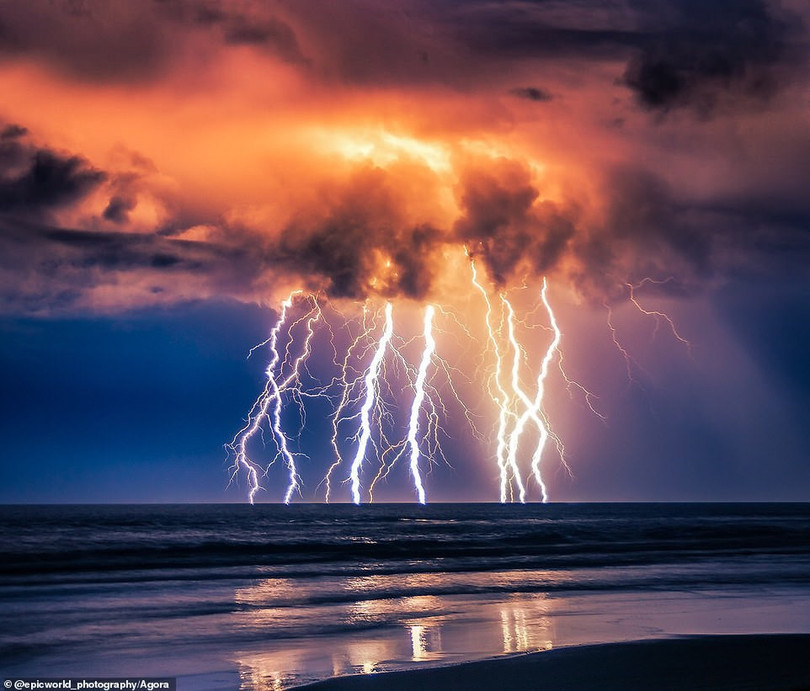 Cuộc thi ảnh tốt nhất 2020 ảnh 2 Tác phẩm Việt vào top cuộc thi ảnh đẹp 2020