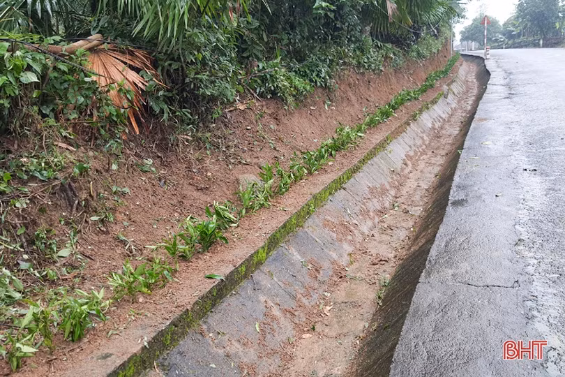 Người dân xã miền núi Hà Tĩnh đội mưa phủ kín hàng rào xanh