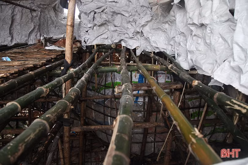 Xem bà con giáo dân làm hang đá Bê-lem “khổng lồ” ở Hà Tĩnh