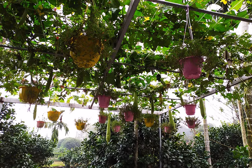 Việt Tiến hướng tới mục tiêu xây dựng xã nông thôn mới kiểu mẫu