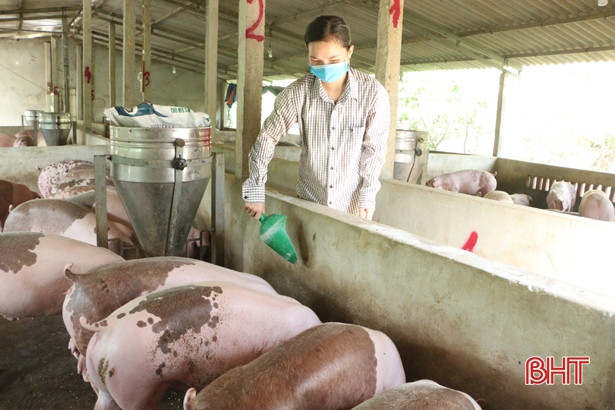 Hội Phụ nữ Vũ Quang trao “cần câu” giúp hội viên phát triển kinh tế