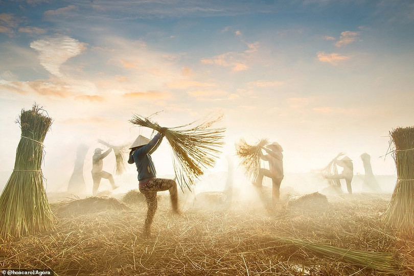 Tác phẩm Việt vào top cuộc thi ảnh đẹp 2020