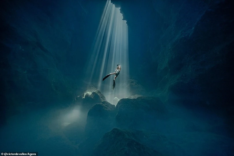 Tác phẩm Việt vào top cuộc thi ảnh đẹp 2020