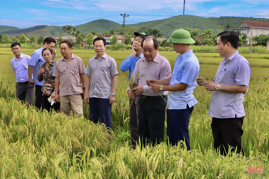 Khơi dậy khát vọng, xây dựng Vũ Quang thành vùng quê trù phú, yên bình và hạnh phúc