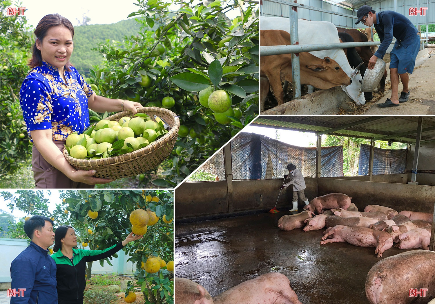 Khơi dậy khát vọng, xây dựng Vũ Quang thành vùng quê trù phú, yên bình và hạnh phúc