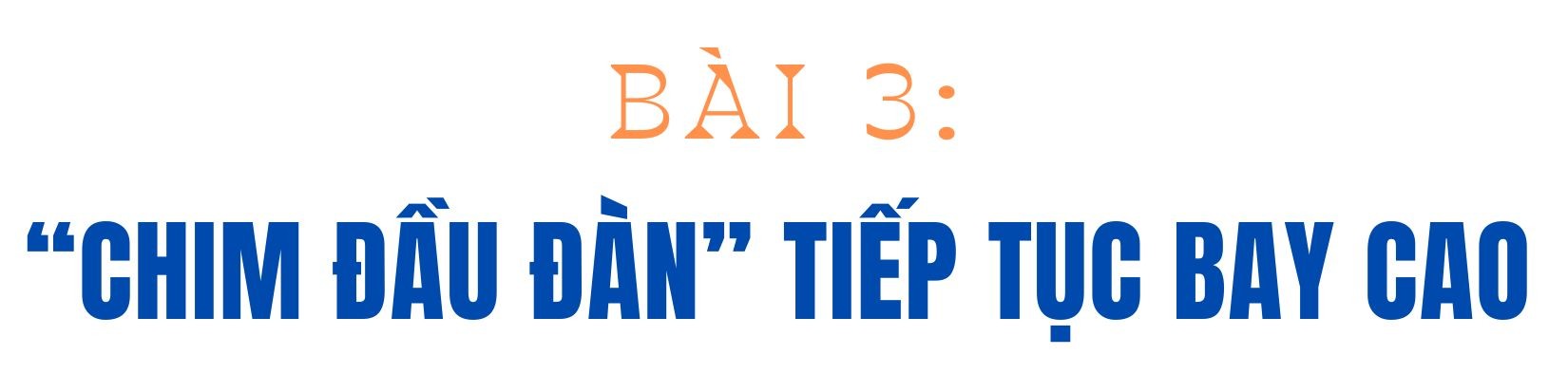 tit-bai-3-8246.jpg
