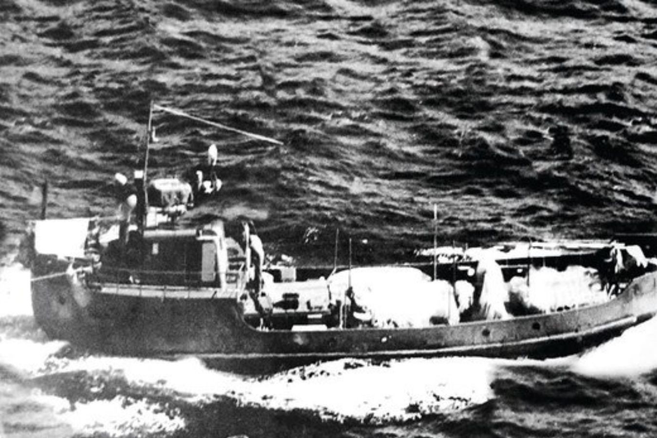 2-306.jpg