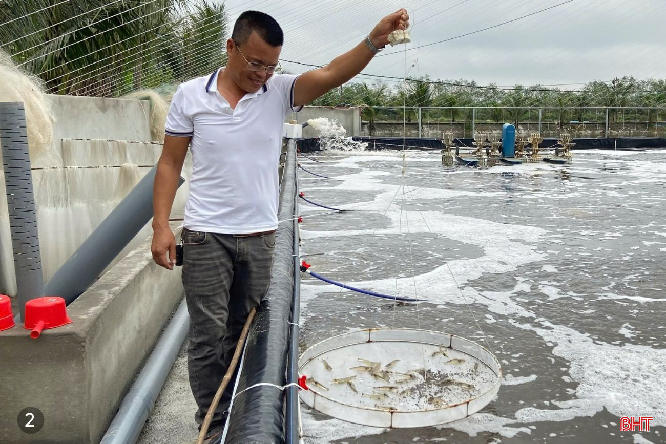 bqbht_br_anh-nuoi-tom.jpg
